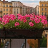 BALCONIERA PIATTO RICCI FISSA 80 cm. (11112)