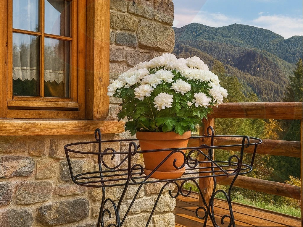 PORTACASSETTE FERRO BATTUTO 25074