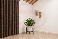 PORTAVASO TREE