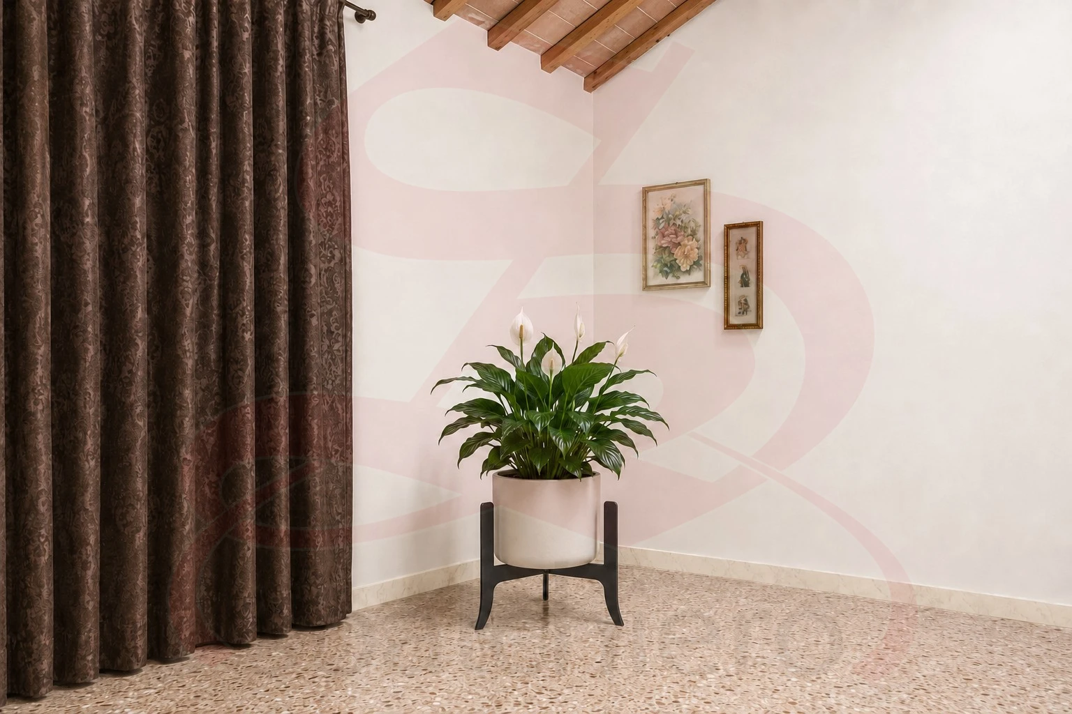 PORTAVASO TREE